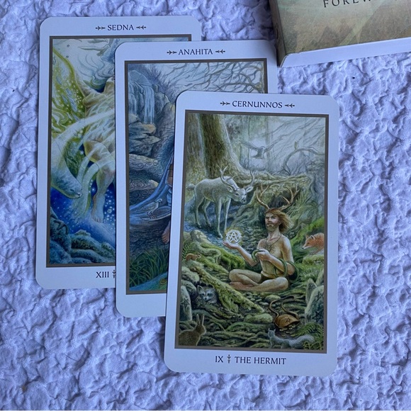 Animals Divine by Lisa Hunt Tarot card box set First Printing / First Edition - Picture 3 of 16